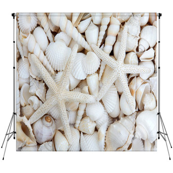 Starfish Lovers Fleece Backdrop