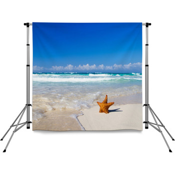 Starfish With Ocean Pole Pocket Backdrop