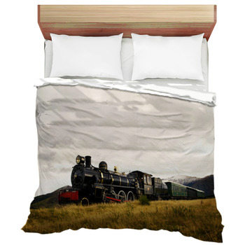 Train Comforters Duvets Sheets Sets, How To Steam Duvet Cover