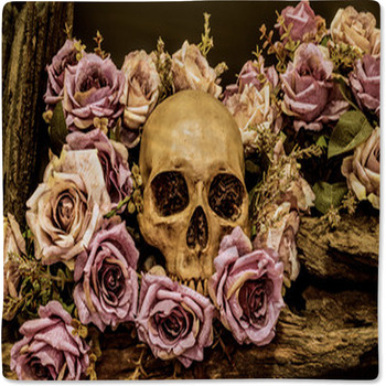 Still Life Human Skull With Roses Background Baby Blanket
