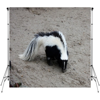 Stinktier Custom Size Backdrop