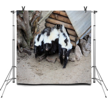 Stinktier Fleece Backdrop