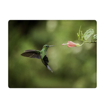 Stripe tailed Hummingbird Bath Mat
