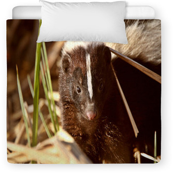 Striped Skunk In Marsh Toddler Duvet