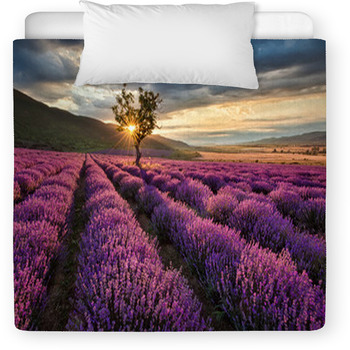 Stunning Landscape With Lavender Field At  Toddler Duvet