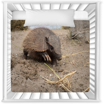 Sud America Armadillo Close Up Baby Crib Comforter
