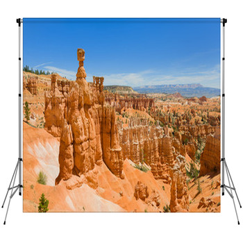 Summer Day In Bryce Canyon Custom Size Backdrop