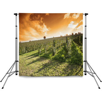 Summer Evening Vineyard Pole Pocket Backdrop