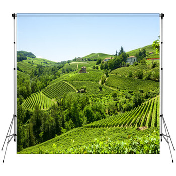 Summer Landscape In Langhe (Italy) Fleece Backdrop