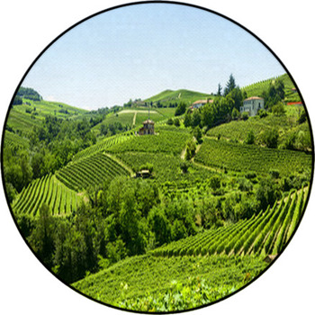 Summer Landscape In Langhe (Italy) Round Rug
