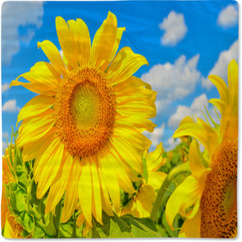 Sunflower Baby Blanket