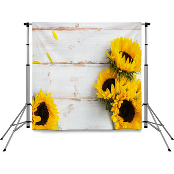Sunflower Backdrops