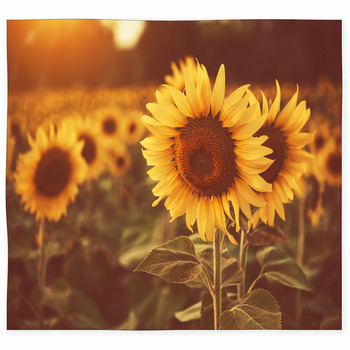 Details about   3D Sunflower Garden NAO1423 Game Rug Mat Elegant Photo Carpet Mat Fay 