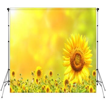Sunflowers Fleece Backdrop