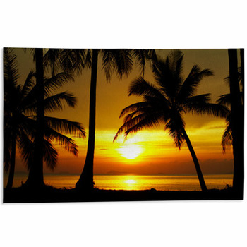 Sunset Equator Area Rug