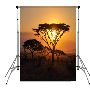 Sunset Pole Pocket Backdrop