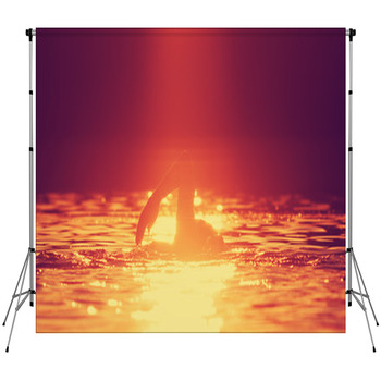 Swimming In Sunset/sunrise Custom Size Backdrop