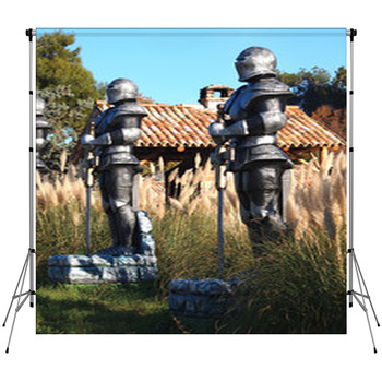 Swordsman Custom Size Backdrop