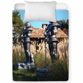 Swordsman Toddler Comforter