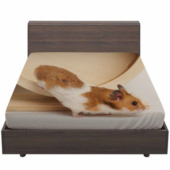 syrian hamster bed