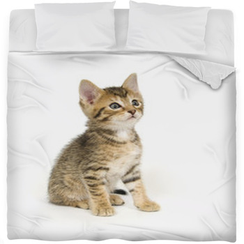 Tabby Kitten Sitting Fleece Bed Blanket