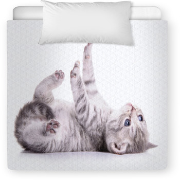 Tabby Scottish Kitten Toddler Duvet