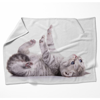 Tabby Scottish Kitten Woven Throw Blanket