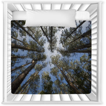 Tarra-Bulga National Park East Baby Crib Comforter