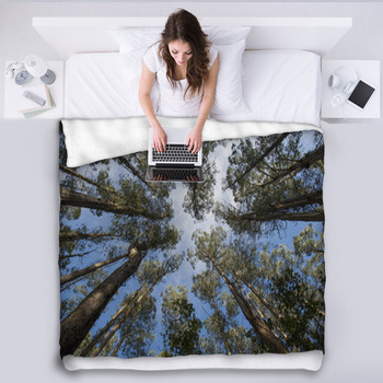 Tarra-Bulga National Park East Gippsland   Fleece Blanket