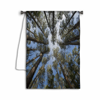 Tarra-Bulga National Park East Gippsland  Victoria Towel