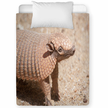 Tatou à Six Bandes - Euphractus Toddler Comforter