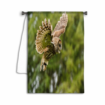 Tawny Owl Flying Towel
