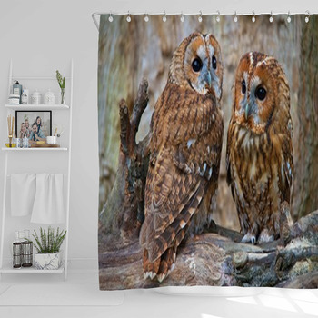Tawny Owls Shower Curtain