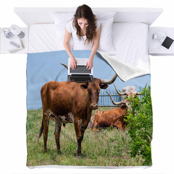 Texas Longhorn Cattle Grazing On Fleece Bed Blanket