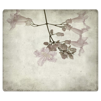 Textured Old Paper Background Area Rug