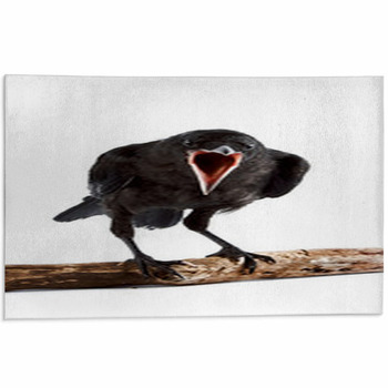 The Bird Area Rug