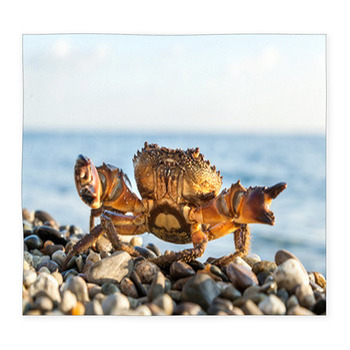 The Brown Crab Custom Size Floor Mat