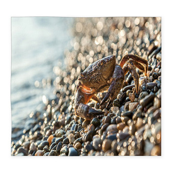 The Brown Crab Custom Size Floor Mat
