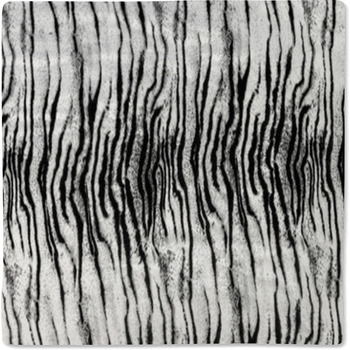 The Fabric On Striped Tiger Baby Blanket