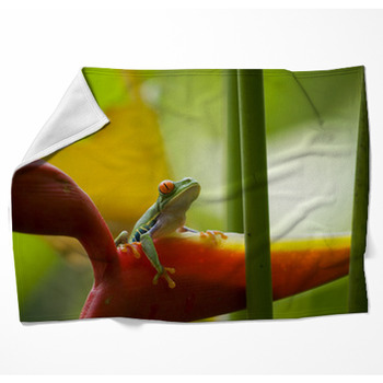 The Famous Red Eyed Tree Frog Woven Throw Blanket