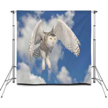 The King Of North Custom Size Backdrop