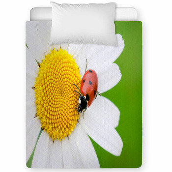 The Ladybird Creeps On A Camomile Toddler Comforter