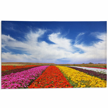 The Multi-colored Flower Fields Area Rug