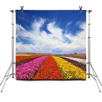The Multi-colored Flower Fields Fleece Backdrop