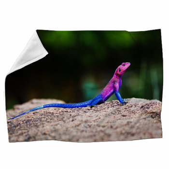 The Mwanza Flat-headed Agama. Serengeti, Fleece Blanket