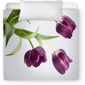 The Three Tulips Toddler Duvet