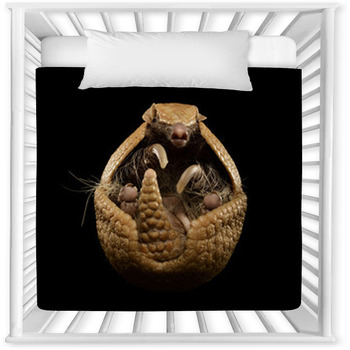 Three-banded Armadillo Baby Crib Comforter