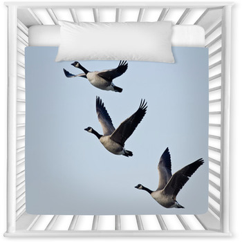 Three Canada Geese Flying In A Blue  Baby Crib Comforter