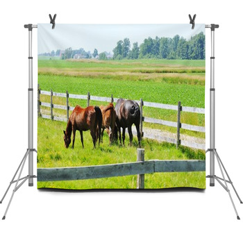 Three Horses Fleece Backdrop