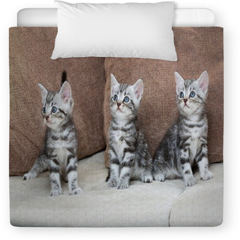 Three Kitten Brothers Toddler Duvet